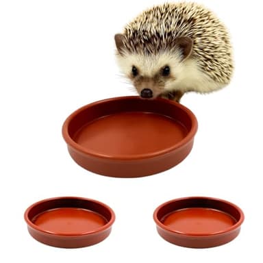 Hedgehog Bowl for Food and Water (Pack of 3) Hedge Hog Feeding Bowls Outdoor Wildlife Garden Dishes 13cm Wide, Low-Profile 2cm Deep Design